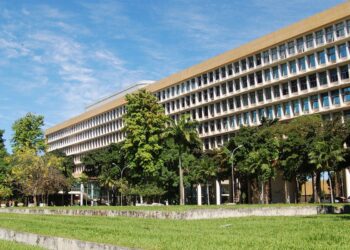 Instituto de ex-alunos da UFRJ apoia ações contra crimes ambientais