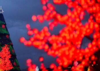 Hoje é Dia: Natal e solstício de verão são destaques