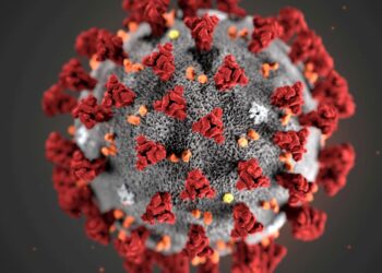 Brasil tem 27 casos confirmados da variante Ômicron