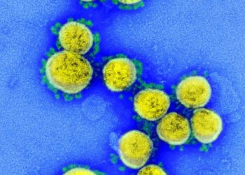 Brasil tem 32 casos confirmados da variante Ômicron