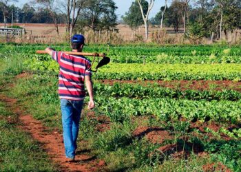 Senado vai analisar prazo de adesão ao Programa de Regularização Ambiental
