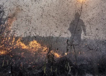 Focos de incêndios no Brasil já são 76% maiores que em 2023