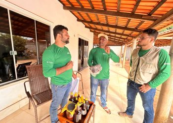 Senar transforma apicultura no Maranhão e leva produção de mel a níveis históricos