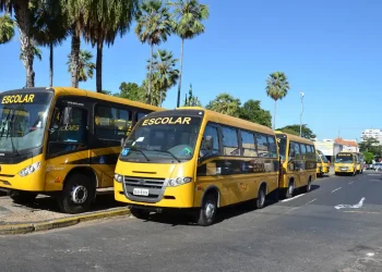 Nova legislação garante repasses para alimentação e transporte escolar